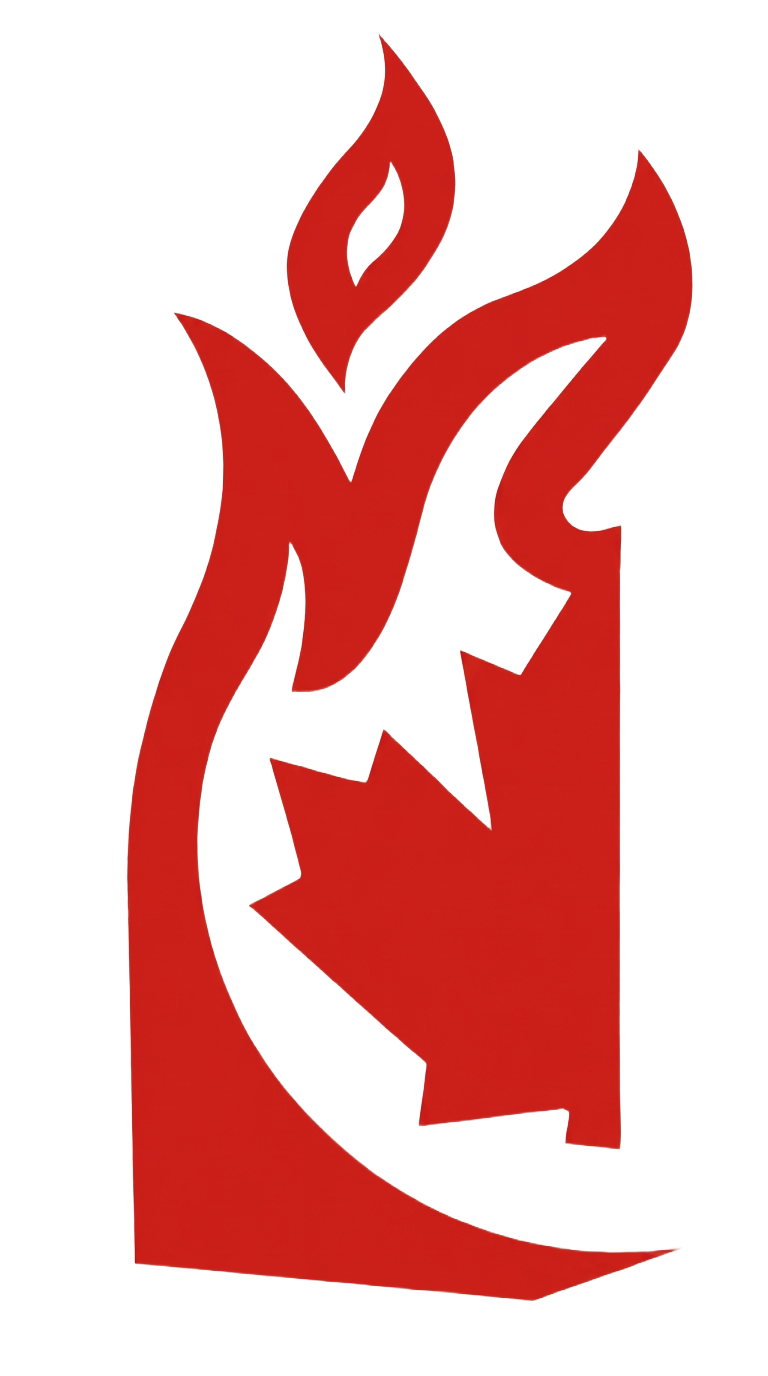 Robinson's Stoves & Chimneys